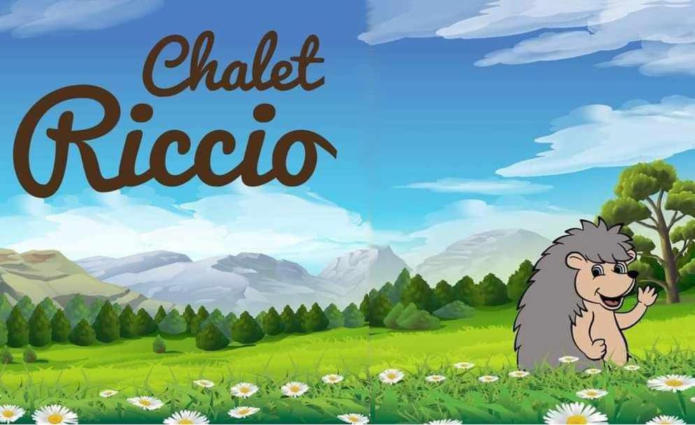 Chalet Riccio By Livigno Accomodation Номер фото